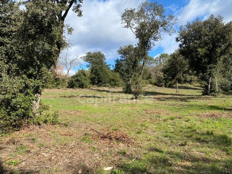 Terrain constructible - 850 m²