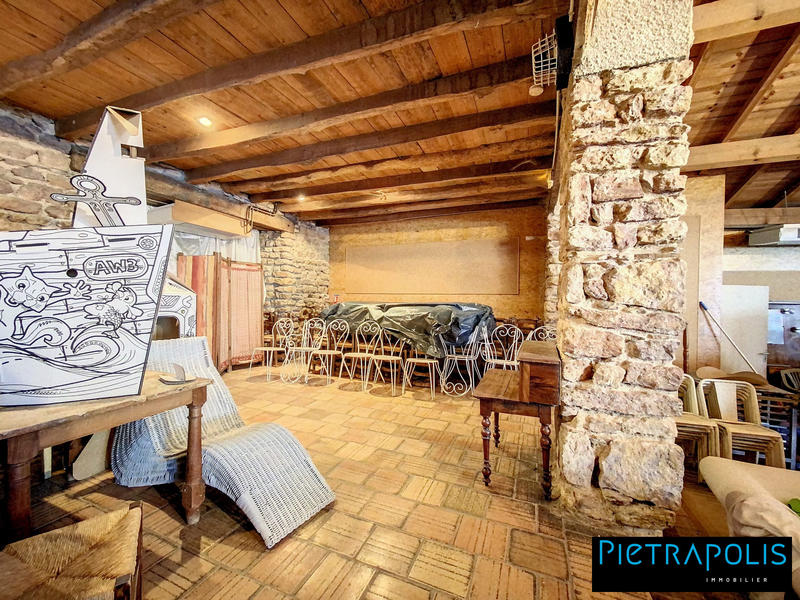 Maison - 270 m² - 8 pièces