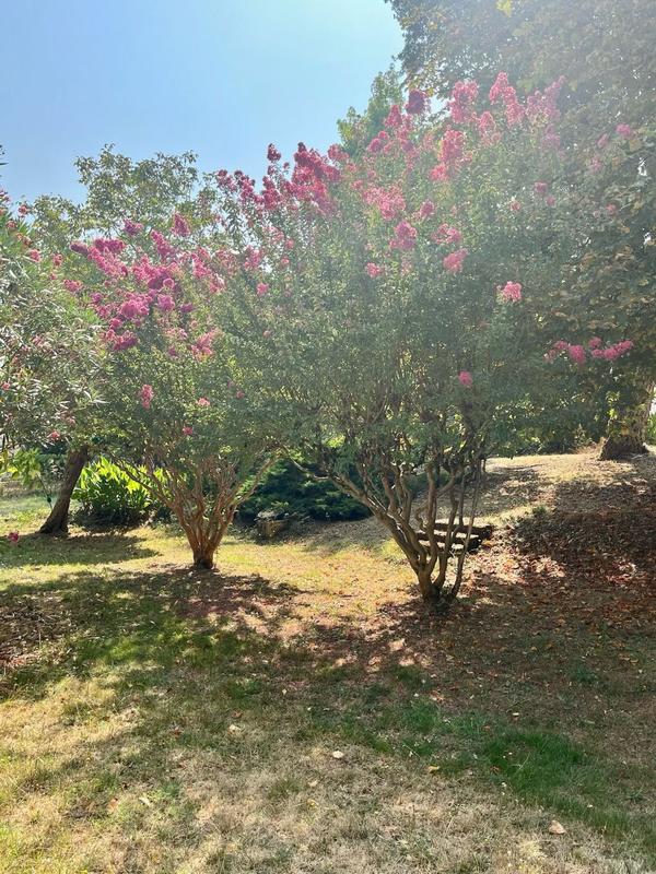 Maison contemporaine - 133 m² - 5 pièces