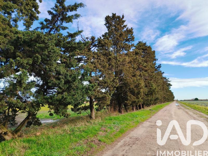 Terrain agricole - 1 140 000 m²