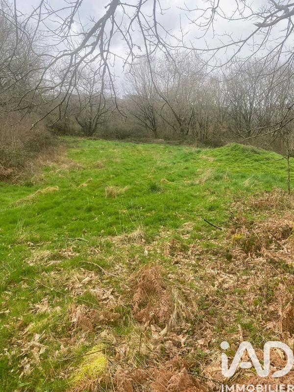 Terrain agricole - 116 077 m²