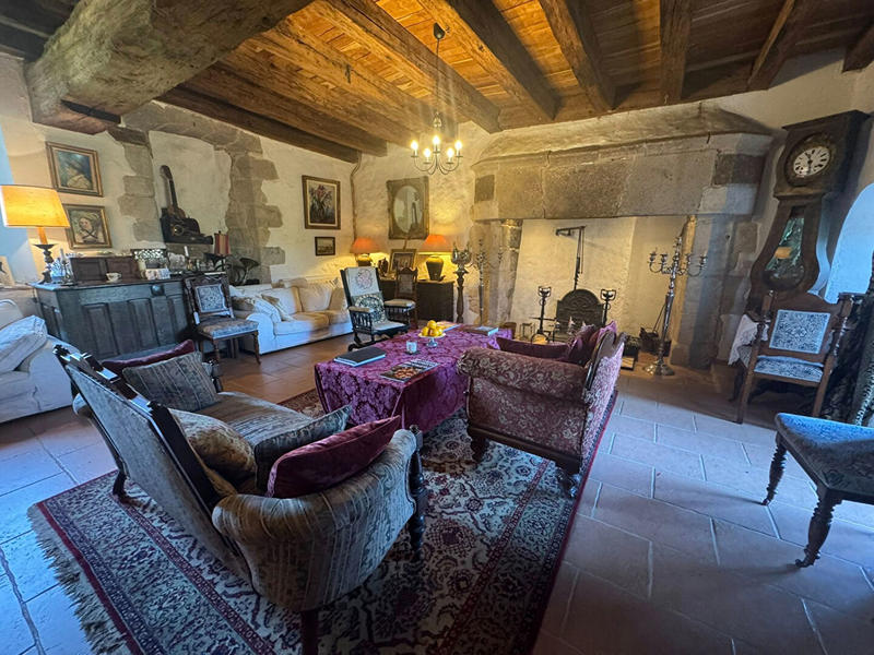 Château - 197 m² - 11 pièces