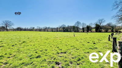 Terrain - 133 420 m²