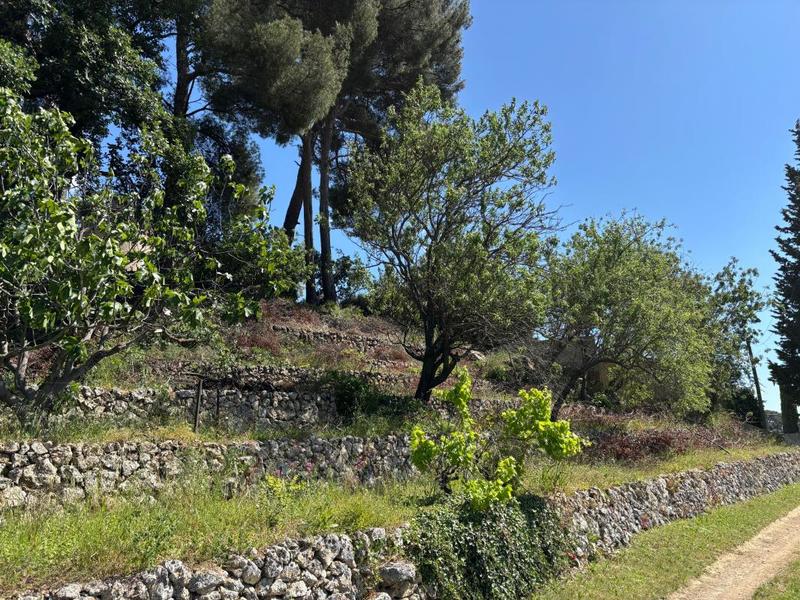 Terrain constructible - 1 311 m²