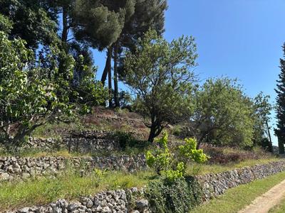 Terrain constructible - 1 311 m²