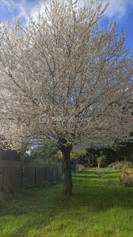 Maison de village - 76 m² - 3 pièces