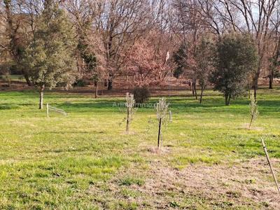 Maison - 175 m² - 8 pièces