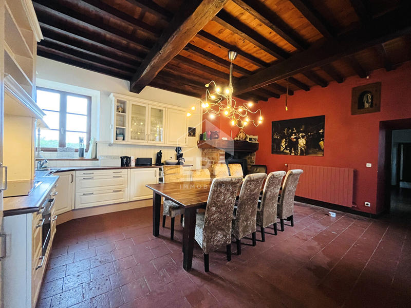 Maison - 480 m² - 14 pièces