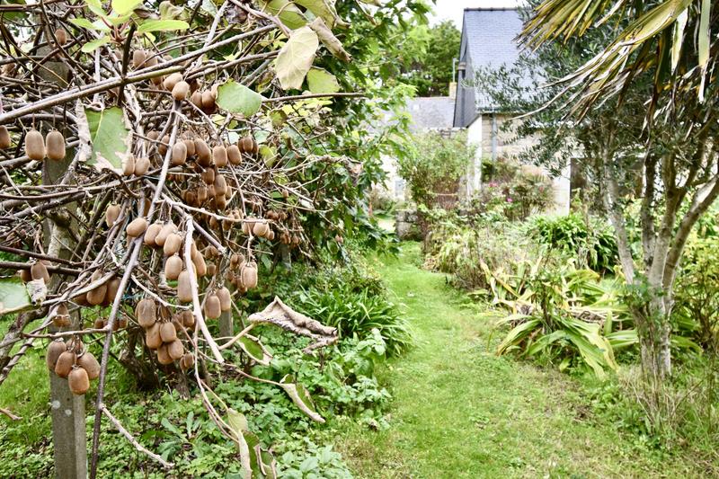 Maison ancienne - 84 m² - 4 pièces
