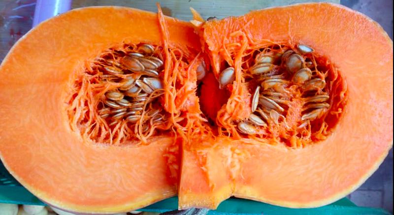 Les légumes bio du chemin des Clapiers