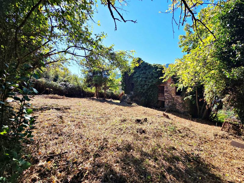 Appartement - 24 m² - 1 pièce