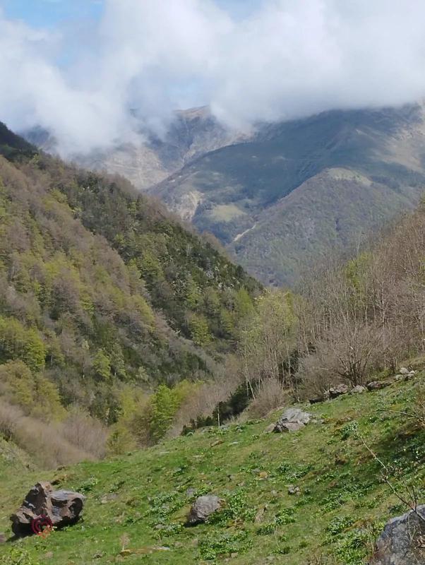 Propriété - 280 m² - 11 pièces