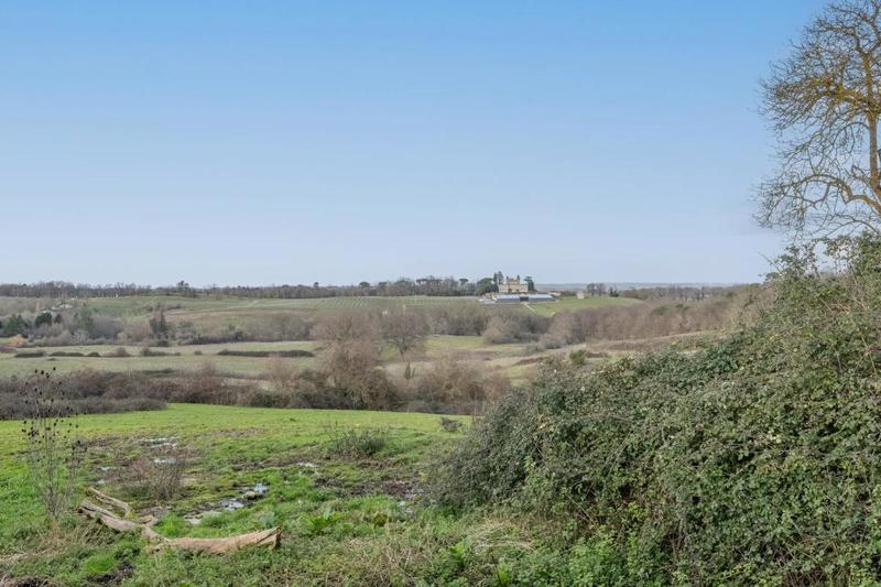 Maison en pierre - 450 m² - 7 pièces