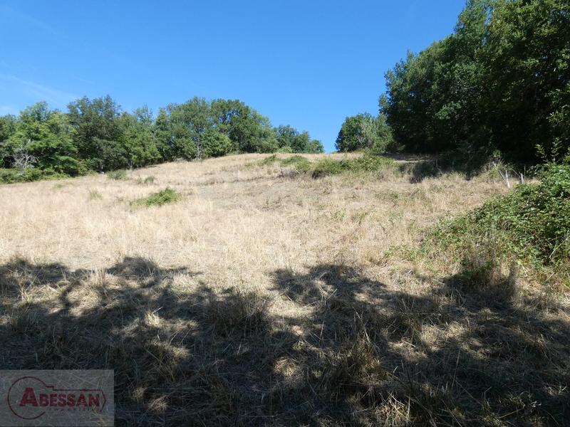 Terrain constructible - 15 000 m²