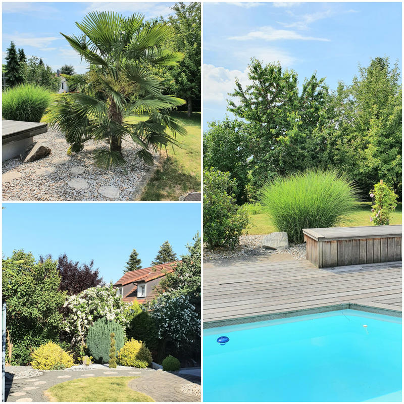 Maison - 230 m² - 8 pièces