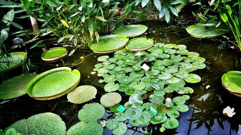 Évasion sous les tropiques
