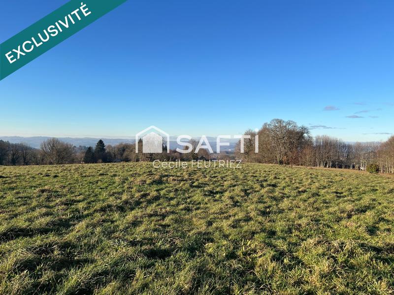 Terrain - 3 902 m²