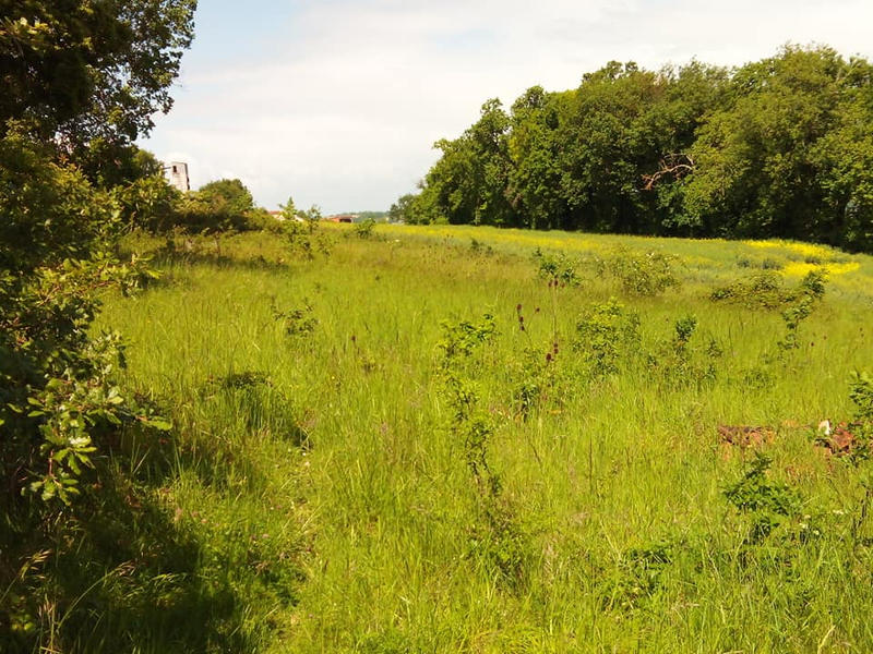 Grange - 100 m² - 6 pièces