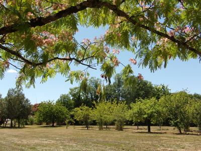 Maison traditionnelle - 103 m² - 5 pièces