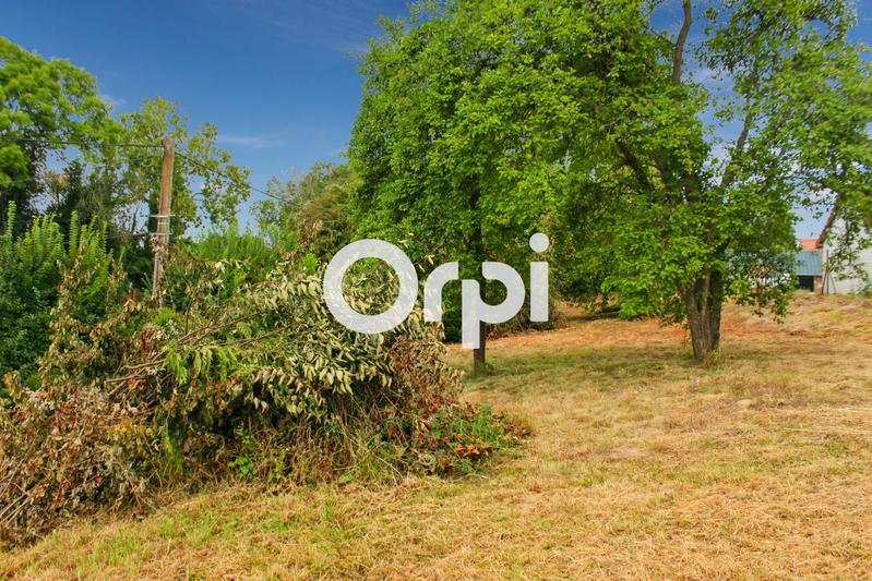 Terrain constructible - 1 313 m²