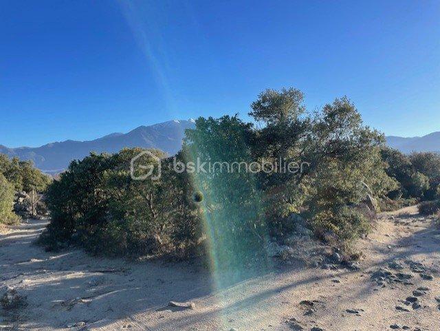 Terrain agricole - 6 500 m²