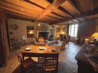 Viager - Maison ancienne - 550 m² - 12 pièces