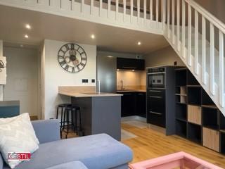 Duplex - 23 m² - 1 pièce