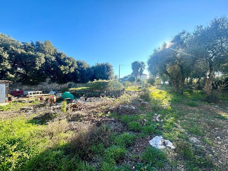 Terrain constructible - 1 513 m²