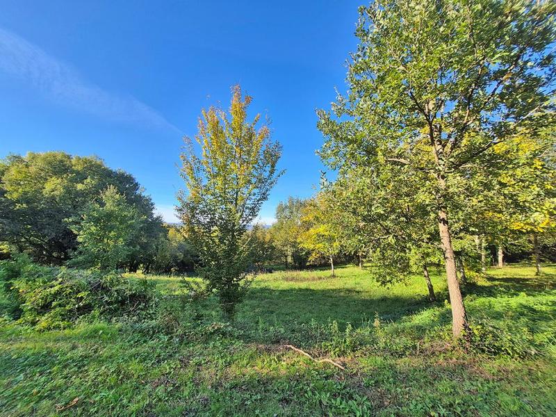 Terrain constructible - 8 085 m²