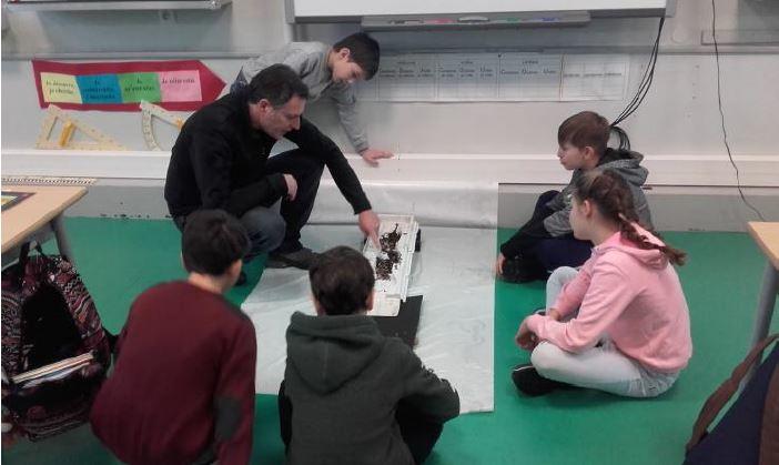 Atelier : les milieux humides