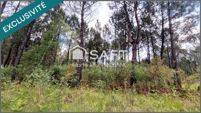 Terrain - 28 539 m²