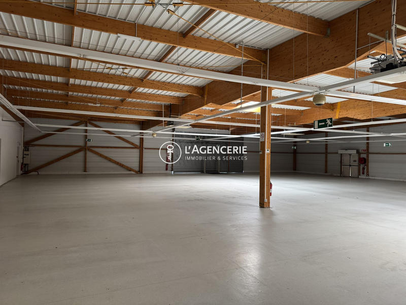 Local commercial - 1 181 m²