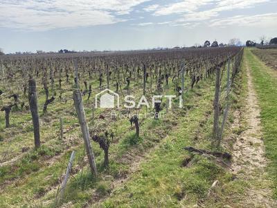 Terrain - 29 380 m²