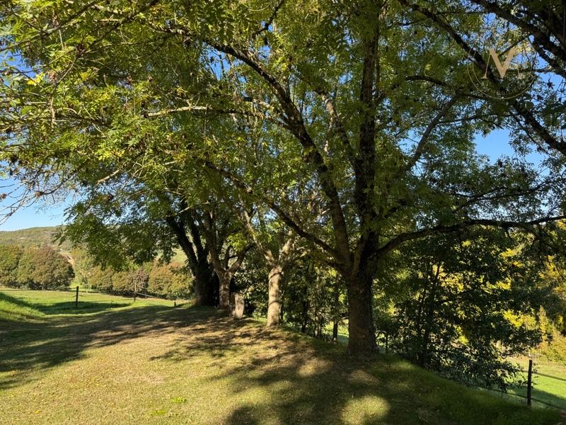 Corps de ferme - 230 m² - 9 pièces