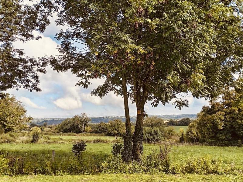 Longère - 120 m² - 6 pièces