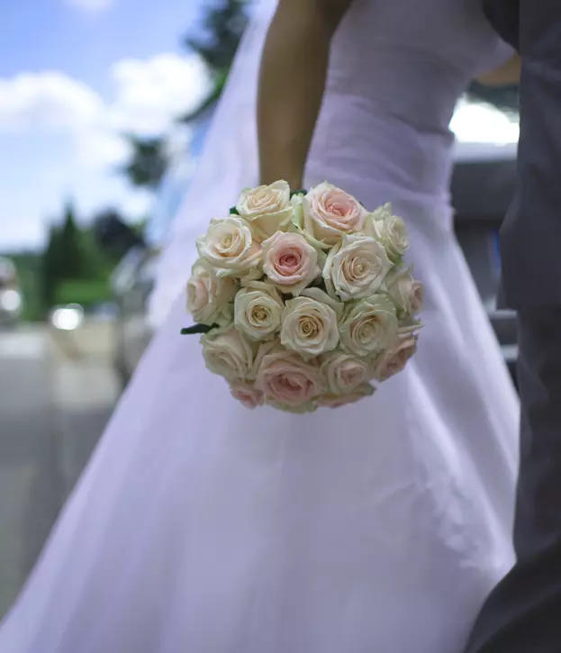 L'Essence des Sèves