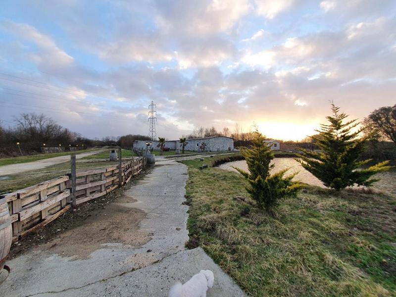 Local d'activité / Entrepôt - 600 m²