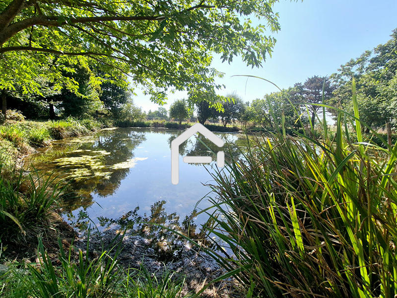 Maison de maîtres - 299 m² - 7 pièces