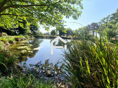 Maison de maîtres - 299 m² - 7 pièces