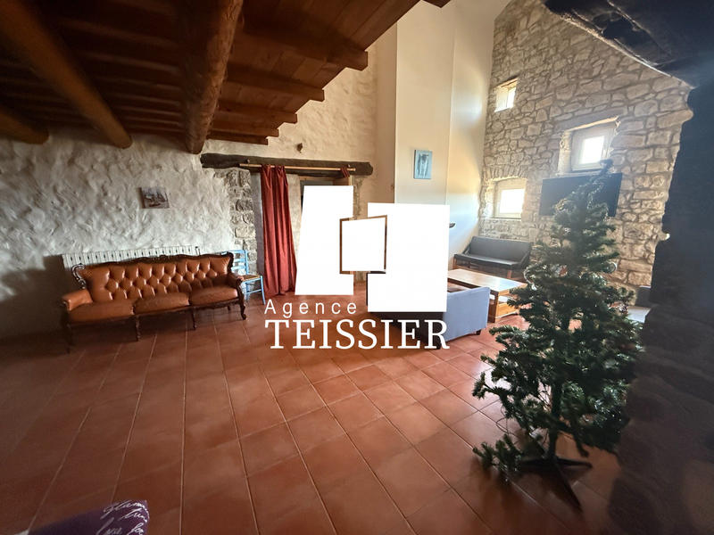 Mas - 450 m² - 14 pièces