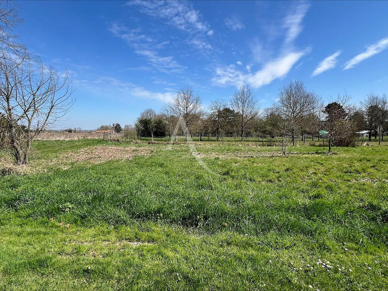 Terrain - 601 m²
