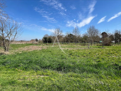 Terrain - 601 m²