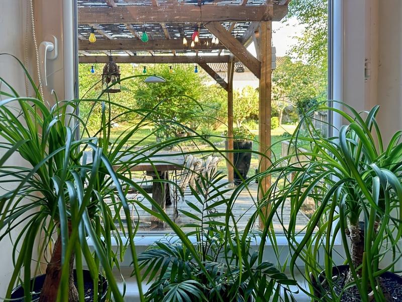 Maison - 129 m² - 4 pièces