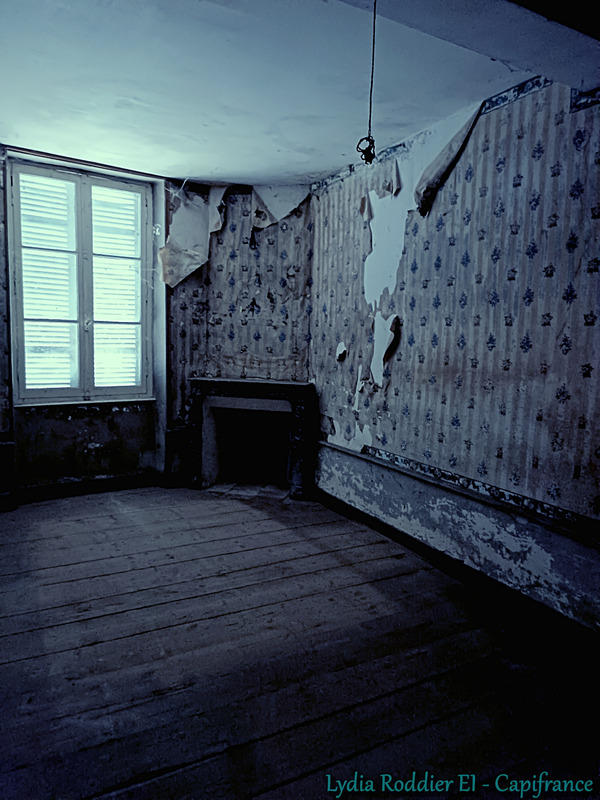 Maison traditionnelle - 240 m² - 7 pièces