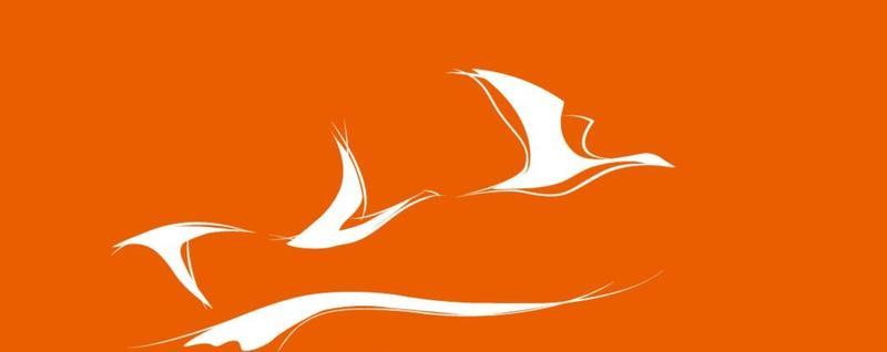 Défilé des Compagnons du Devoir et du Tour de France