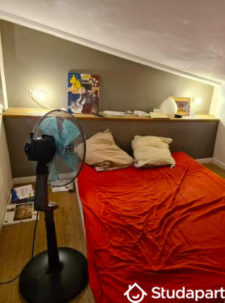 Appartement - 20 m² - 1 pièce