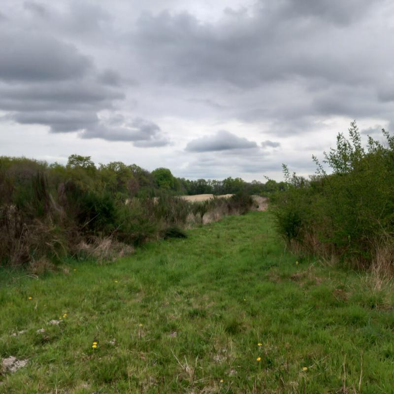 Terrain - 464 000 m²