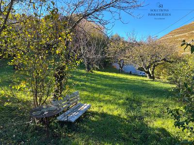 Terrain agricole - 705 m²