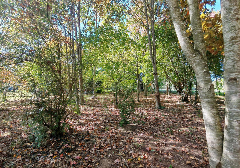 Maison - 127 m² - 7 pièces