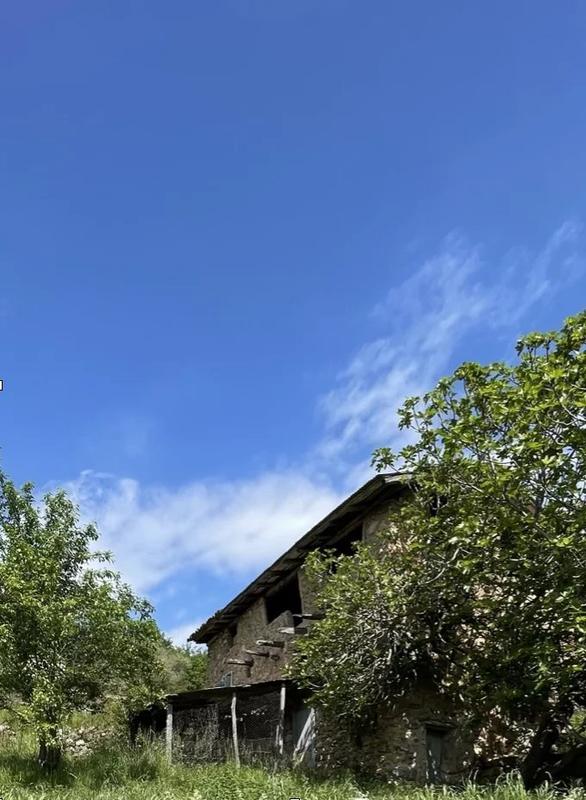 Terrain - 15 590 m²